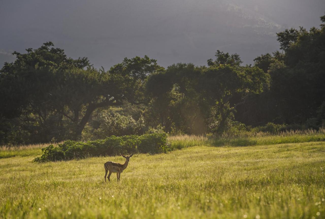 Alkmaar Caracal Lodge מראה חיצוני תמונה