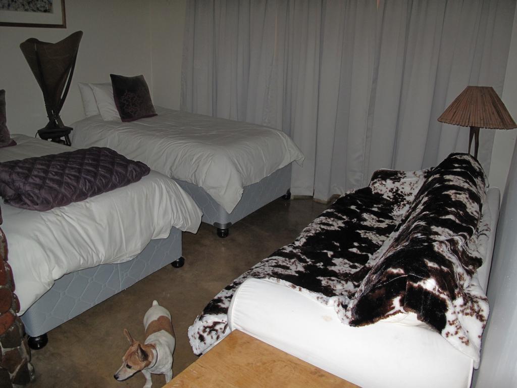 Alkmaar Caracal Lodge מראה חיצוני תמונה