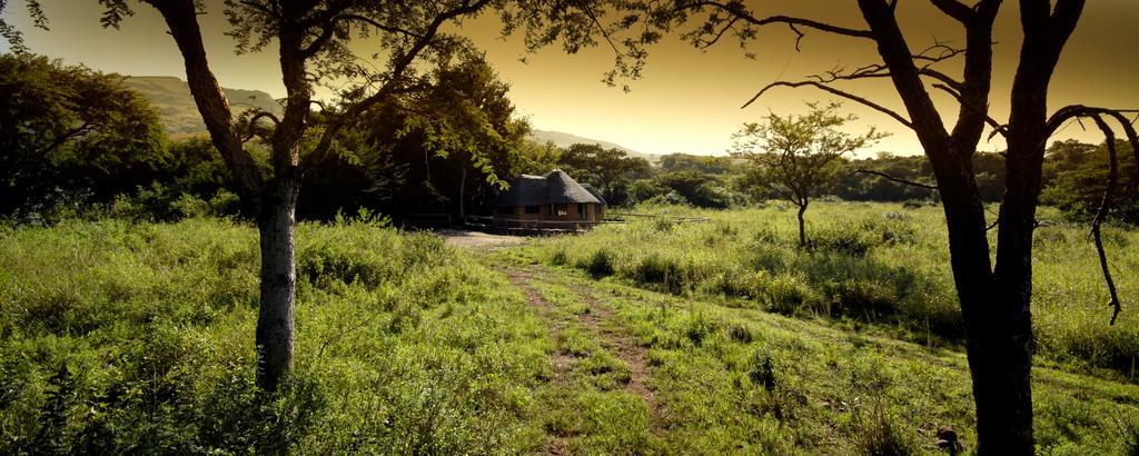 Alkmaar Caracal Lodge חדר תמונה