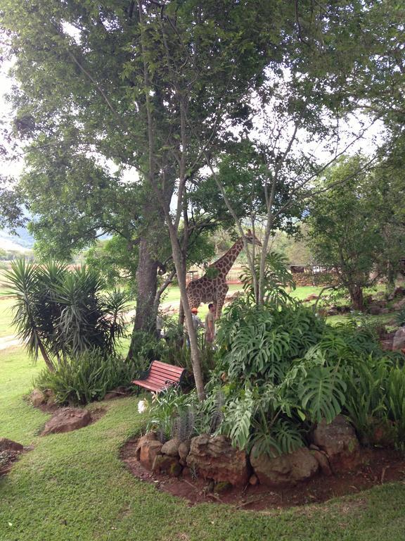 Alkmaar Caracal Lodge מראה חיצוני תמונה